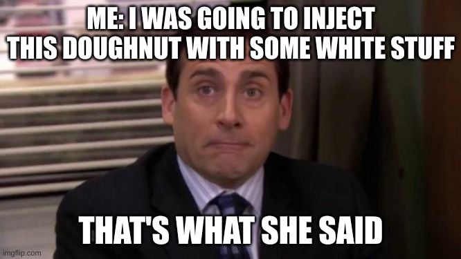 literally that's what SHE said | ME: I WAS GOING TO INJECT THIS DOUGHNUT WITH SOME WHITE STUFF; THAT'S WHAT SHE SAID | image tagged in thats what she said,memes | made w/ Imgflip meme maker