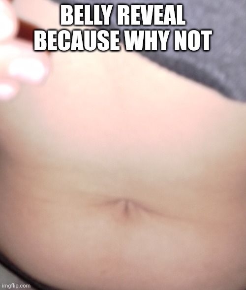 wtf lmao? | BELLY REVEAL BECAUSE WHY NOT | made w/ Imgflip meme maker