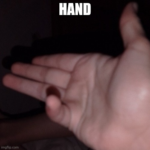 HAND | made w/ Imgflip meme maker