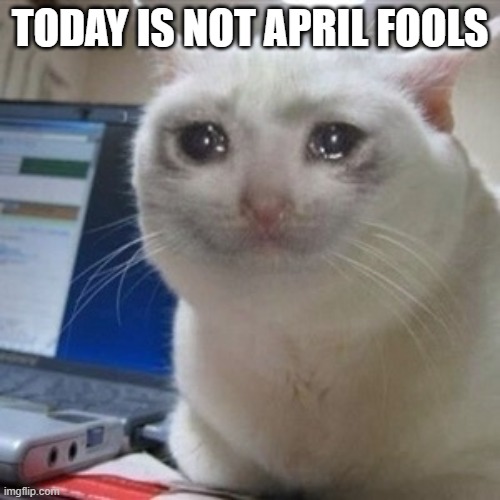 sad cat but it's not april fools | TODAY IS NOT APRIL FOOLS | image tagged in crying cat | made w/ Imgflip meme maker
