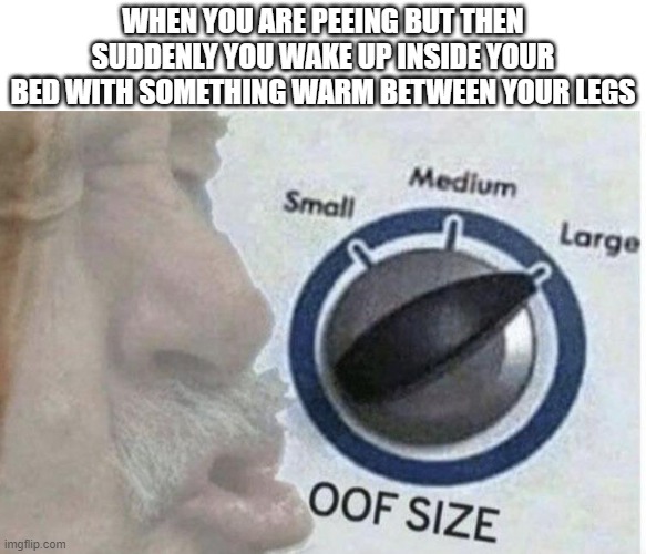 Oof size large | WHEN YOU ARE PEEING BUT THEN SUDDENLY YOU WAKE UP INSIDE YOUR BED WITH SOMETHING WARM BETWEEN YOUR LEGS | image tagged in oof size large | made w/ Imgflip meme maker