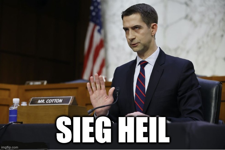 SIEG HEIL | image tagged in memes,tom cotton,nazi,white supremacist,gop,republican | made w/ Imgflip meme maker