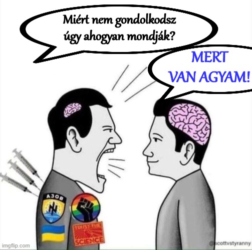 Miért nem gondolkodsz úgy ahogyan mondják? MERT VAN AGYAM! | made w/ Imgflip meme maker