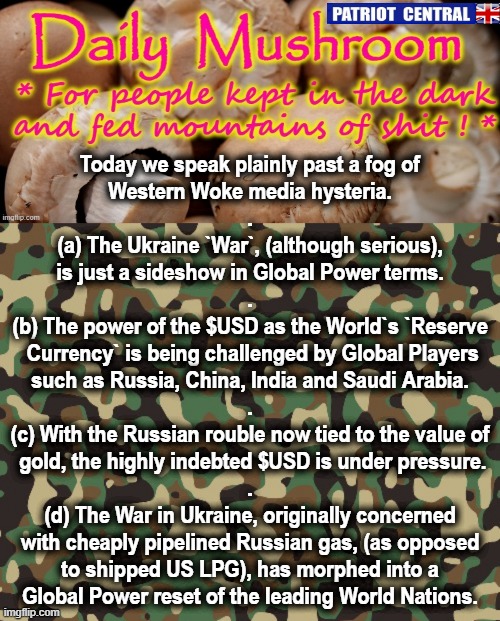 Global Power Reset | Today we speak plainly past a fog of
Western Woke media hysteria.
.
(a) The Ukraine `War`, (although serious),
is just a sideshow in Global Power terms.
.
(b) The power of the $USD as the World`s `Reserve
 Currency` is being challenged by Global Players
such as Russia, China, India and Saudi Arabia.
.
(c) With the Russian rouble now tied to the value of
 gold, the highly indebted $USD is under pressure.
.
(d) The War in Ukraine, originally concerned
with cheaply pipelined Russian gas, (as opposed
to shipped US LPG), has morphed into a
Global Power reset of the leading World Nations. | image tagged in dollar tree | made w/ Imgflip meme maker