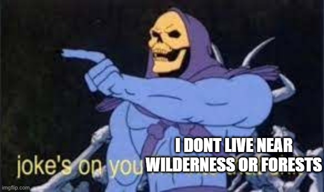 Jokes on you im into that shit | I DONT LIVE NEAR WILDERNESS OR FORESTS | image tagged in jokes on you im into that shit | made w/ Imgflip meme maker