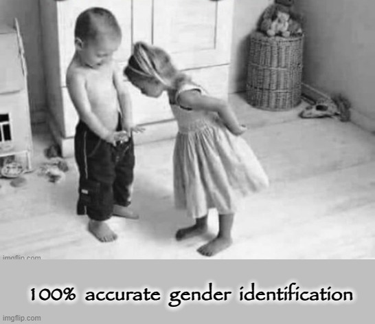 100% Accurate ! | 100%  accurate  gender  identification | image tagged in gender identity | made w/ Imgflip meme maker