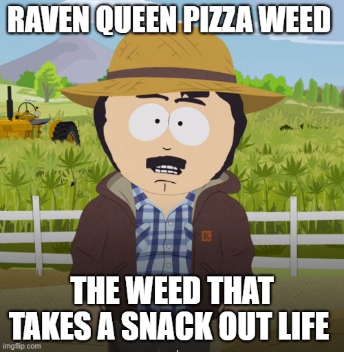 Tegridy | RAVEN QUEEN PIZZA WEED; THE WEED THAT TAKES A SNACK OUT LIFE | image tagged in tegridy | made w/ Imgflip meme maker