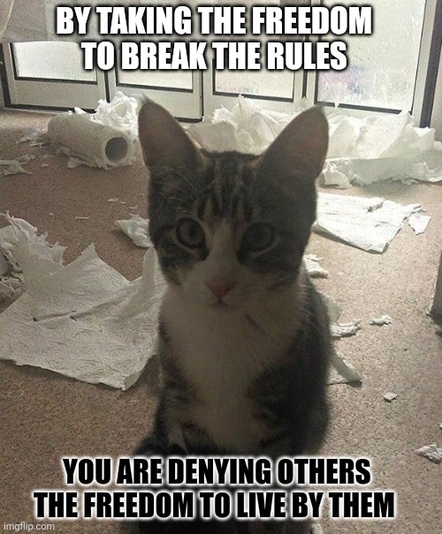 This #lolcat wonders why people deny others their freedom | BY TAKING THE FREEDOM 
TO BREAK THE RULES; YOU ARE DENYING OTHERS
THE FREEDOM TO LIVE BY THEM | image tagged in lolcat,freedom,selfishness,think about it | made w/ Imgflip meme maker