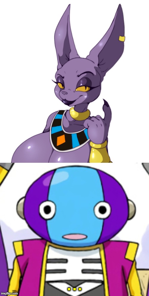 Zeno be like: Imma give ya a promotion xD | . . . | image tagged in furry,memes,funny,dragon ball,zeno,beerus | made w/ Imgflip meme maker