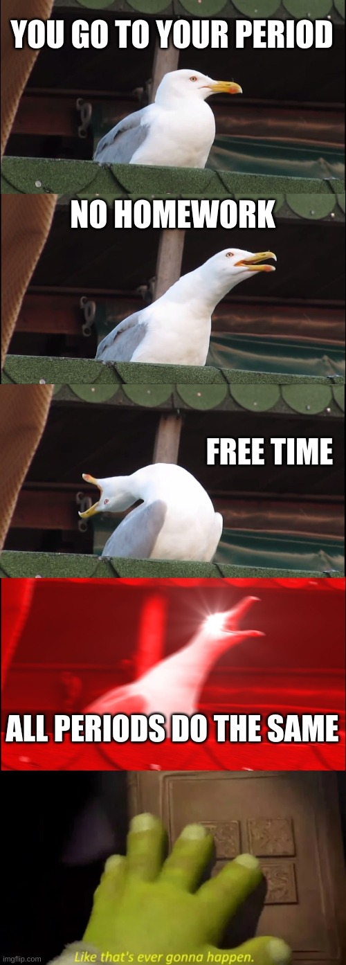 0/1000000000000000 chance guys, rip | YOU GO TO YOUR PERIOD; NO HOMEWORK; FREE TIME; ALL PERIODS DO THE SAME | image tagged in memes,inhaling seagull | made w/ Imgflip meme maker