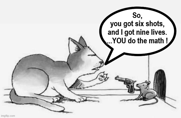 Cat and Mouse ! | So,
you got six shots,
and I got nine lives.
...YOU do the math ! | image tagged in math in a nutshell | made w/ Imgflip meme maker