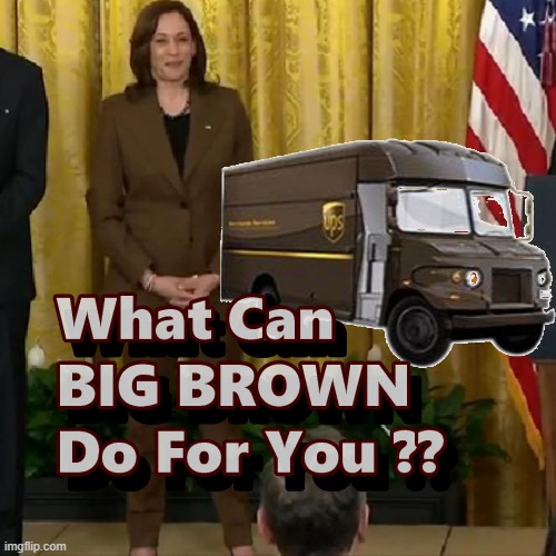 Kamala Seems To Have a Side GIG Folks - Coming To Your Door Soon !! | image tagged in ups,kamala harris,memes | made w/ Imgflip meme maker