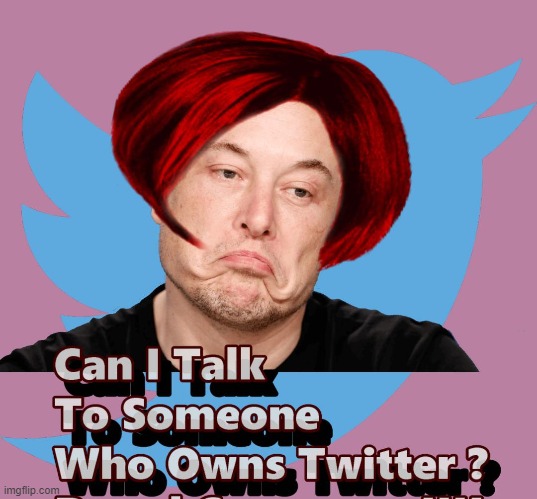 Elon Takes Over Whitehouse Press Secretary Job | image tagged in elon musk,memes,jen psaki,elon psaki | made w/ Imgflip meme maker