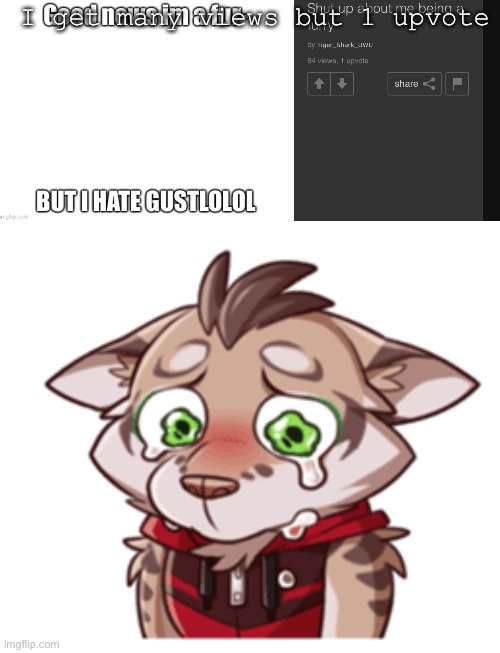 WHHYYYYY (Credit to Yan Shu Chi Senpai for the furry art) | I get many views but 1 upvote | image tagged in bruh | made w/ Imgflip meme maker