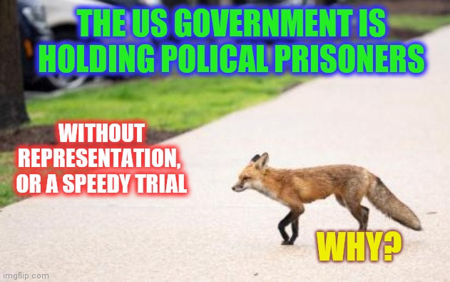 A Fox Goes To Capitol Hill | THE US GOVERNMENT IS HOLDING POLICAL PRISONERS; WITHOUT REPRESENTATION,  OR A SPEEDY TRIAL; WHY? | image tagged in fox on the run,do you want to see the most illegal thing i own,see nobody cares,mocking,crown | made w/ Imgflip meme maker