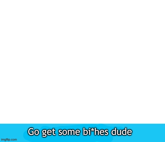 Bruh | Go get some bi*hes dude | image tagged in bruh | made w/ Imgflip meme maker