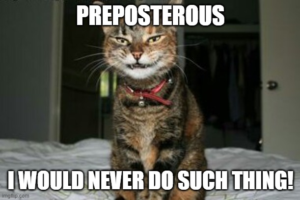 Evil Smile Cat | PREPOSTEROUS I WOULD NEVER DO SUCH THING! | image tagged in evil smile cat | made w/ Imgflip meme maker