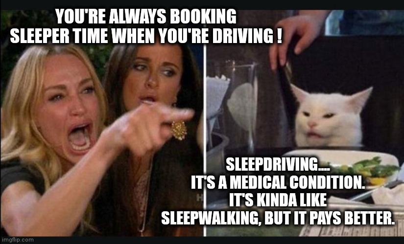 Cracker cat | YOU'RE ALWAYS BOOKING SLEEPER TIME WHEN YOU'RE DRIVING ! SLEEPDRIVING.... IT'S A MEDICAL CONDITION. IT'S KINDA LIKE SLEEPWALKING, BUT IT PAYS BETTER. | image tagged in cracker cat | made w/ Imgflip meme maker