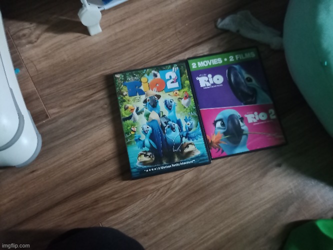 My 2 copies of Rio 2 | image tagged in memes,bruh | made w/ Imgflip meme maker