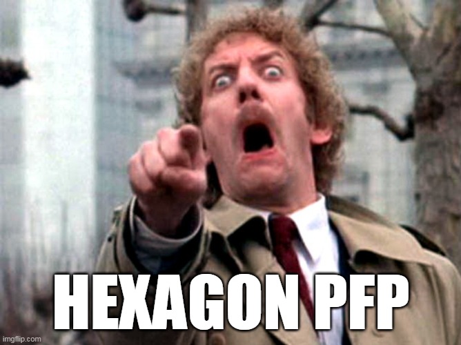 Hexagon PFP | HEXAGON PFP | image tagged in donald sutherland invasion of the body snatchers,invasion of the body snatchers,hexagon | made w/ Imgflip meme maker