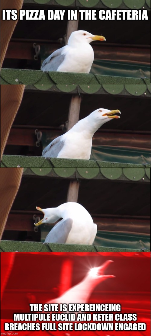 Inhaling Seagull | ITS PIZZA DAY IN THE CAFETERIA; THE SITE IS EXPEREINCEING MULTIPULE EUCLID AND KETER CLASS BREACHES FULL SITE LOCKDOWN ENGAGED | image tagged in memes,inhaling seagull,scp,scp meme | made w/ Imgflip meme maker