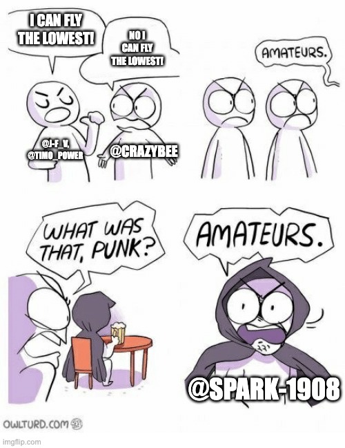 Amateurs | I CAN FLY THE LOWEST! NO I CAN FLY THE LOWEST! @CRAZYBEE; @J-F_V,
@TIMO_POWER; @SPARK-1908 | image tagged in amateurs | made w/ Imgflip meme maker