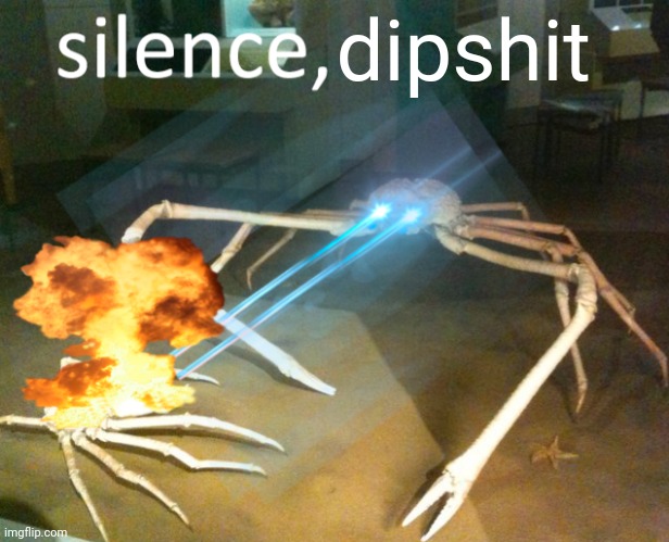 Silence Crab | dipshit | image tagged in silence crab | made w/ Imgflip meme maker