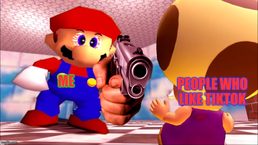 Been A While Since I Hated On TikTok | ME; PEOPLE WHO LIKE TIKTOK | image tagged in mario holding toadsworth at gunpoint | made w/ Imgflip meme maker