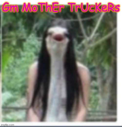 lol | Gm MoThEr TrUcKeRs | image tagged in idek | made w/ Imgflip meme maker