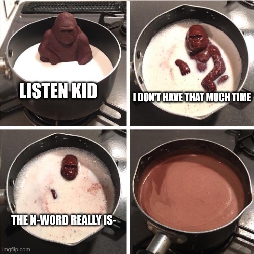 NOOOOOOOO ILL NEVER KNOW IT | I DON'T HAVE THAT MUCH TIME; LISTEN KID; THE N-WORD REALLY IS- | image tagged in chocolate monkey | made w/ Imgflip meme maker
