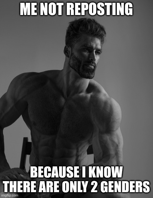 Giga Chad | ME NOT REPOSTING BECAUSE I KNOW THERE ARE ONLY 2 GENDERS | image tagged in giga chad | made w/ Imgflip meme maker