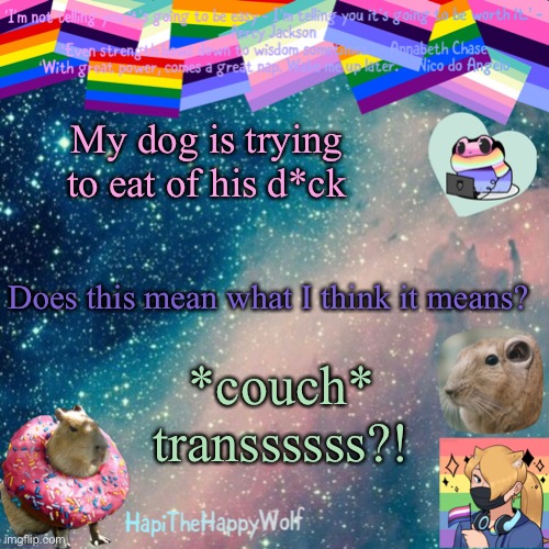 My dog is trying to eat of his d*ck; Does this mean what I think it means? *couch* transsssss?! | image tagged in hapithehappywolf template v 920482928184 | made w/ Imgflip meme maker