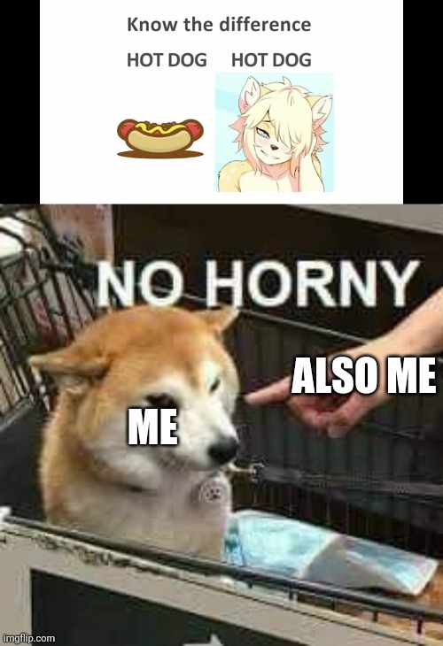 No you dont get a title | ALSO ME; ME | image tagged in no horny doge | made w/ Imgflip meme maker