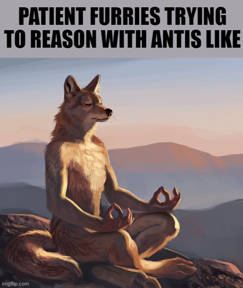 I've seen some pretty patient fellas! (Art by TruNorth) | PATIENT FURRIES TRYING TO REASON WITH ANTIS LIKE | image tagged in furry,patience,anti furry,memes,meditation | made w/ Imgflip meme maker