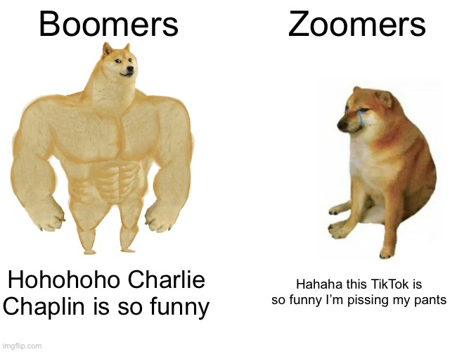 Buff Doge vs. Cheems Meme | Boomers; Zoomers; Hohohoho Charlie Chaplin is so funny; Hahaha this TikTok is so funny I’m pissing my pants | image tagged in memes,buff doge vs cheems | made w/ Imgflip meme maker