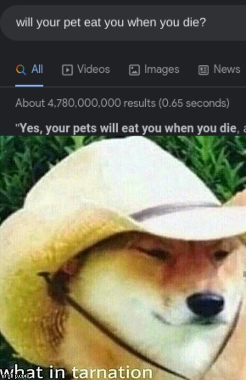 insert clever title | image tagged in yummy,what in tarnation dog | made w/ Imgflip meme maker