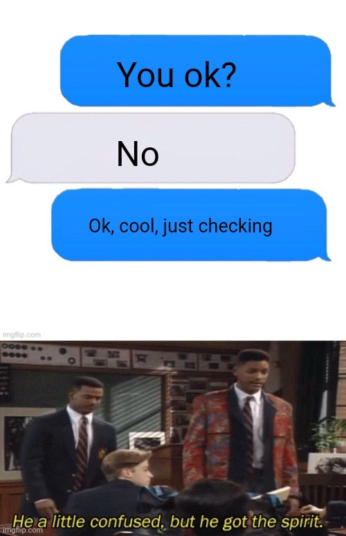 Yea, he's getting the message, I think | You ok? No; Ok, cool, just checking | image tagged in three box text message,fresh prince he a little confused but he got the spirit | made w/ Imgflip meme maker