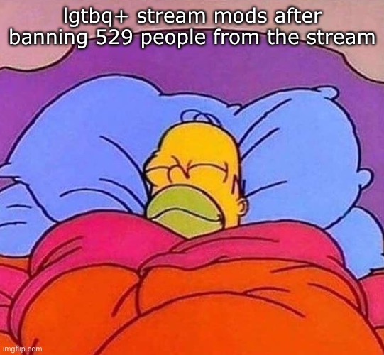 Homer Simpson sleeping peacefully | lgtbq+ stream mods after banning 529 people from the stream | image tagged in homer simpson sleeping peacefully | made w/ Imgflip meme maker