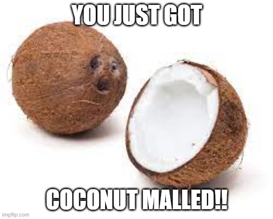 YOU JUST GOT COCONUT MALLED | YOU JUST GOT COCONUT MALLED!! | image tagged in you just got coconut malled | made w/ Imgflip meme maker