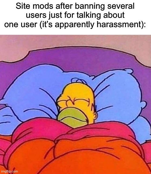 Homer Simpson sleeping peacefully | Site mods after banning several users just for talking about one user (it’s apparently harassment): | image tagged in homer simpson sleeping peacefully | made w/ Imgflip meme maker