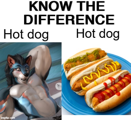 Hmmmm, Both would go great with Mayonnaise. xD (Hotter one by Hun) | image tagged in furry,hot,hot dog,memes,funny | made w/ Imgflip meme maker