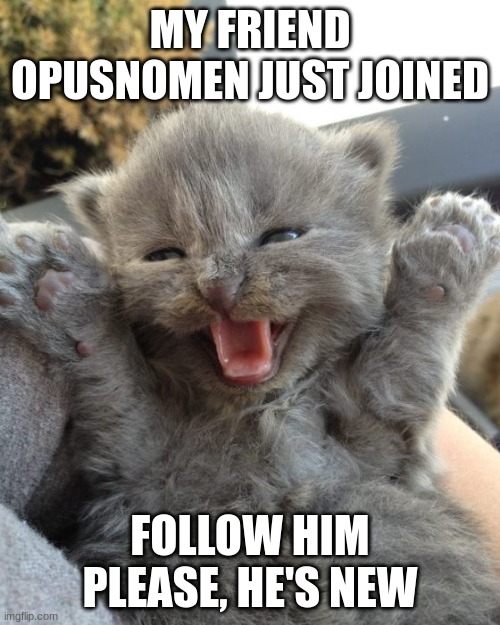 Thank you! | MY FRIEND OPUSNOMEN JUST JOINED; FOLLOW HIM PLEASE, HE'S NEW | image tagged in yay kitty | made w/ Imgflip meme maker