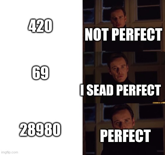 the giga funny number | 420; NOT PERFECT; 69; I SEAD PERFECT; 28980; PERFECT | image tagged in perfection | made w/ Imgflip meme maker