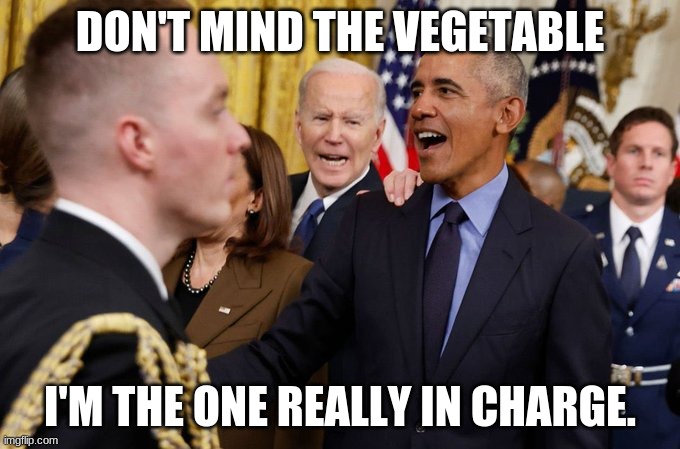 Biden vegetable | DON'T MIND THE VEGETABLE; I'M THE ONE REALLY IN CHARGE. | image tagged in biden obama | made w/ Imgflip meme maker