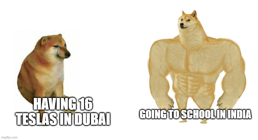 just so true | HAVING 16 TESLAS IN DUBAI; GOING TO SCHOOL IN INDIA | image tagged in swole doge vs cheems flipped | made w/ Imgflip meme maker