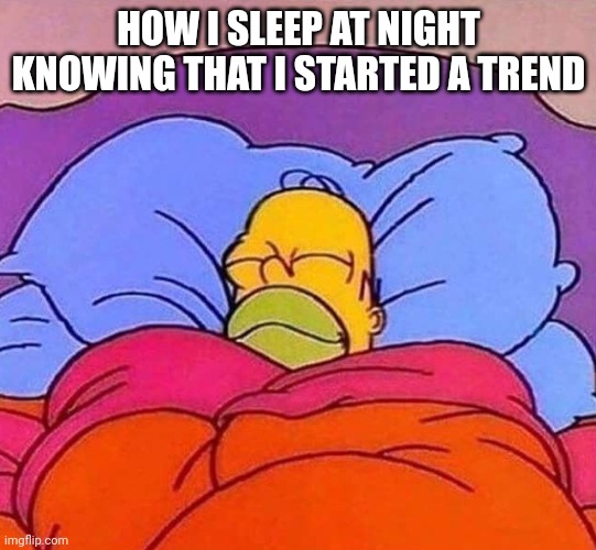 Homer Sleeping | HOW I SLEEP AT NIGHT KNOWING THAT I STARTED A TREND | image tagged in homer sleeping | made w/ Imgflip meme maker