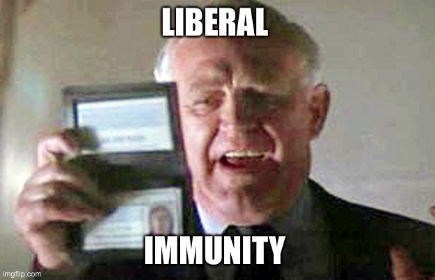 Diplomatic Immunity | LIBERAL IMMUNITY | image tagged in diplomatic immunity | made w/ Imgflip meme maker