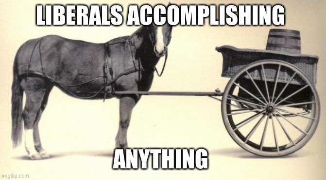 the cart before the horse | LIBERALS ACCOMPLISHING ANYTHING | image tagged in the cart before the horse | made w/ Imgflip meme maker