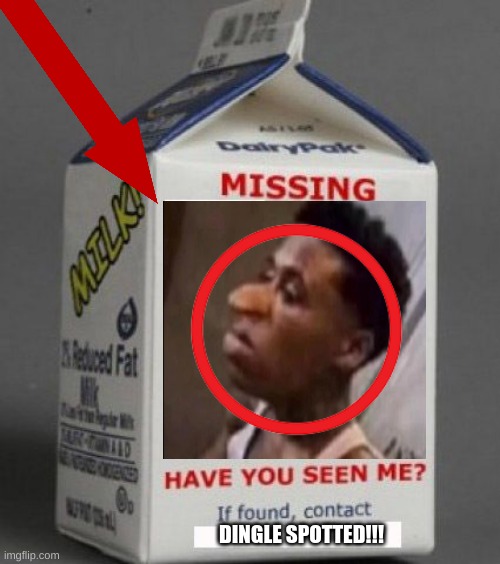 quandale dingle |  DINGLE SPOTTED!!! | image tagged in milk carton | made w/ Imgflip meme maker