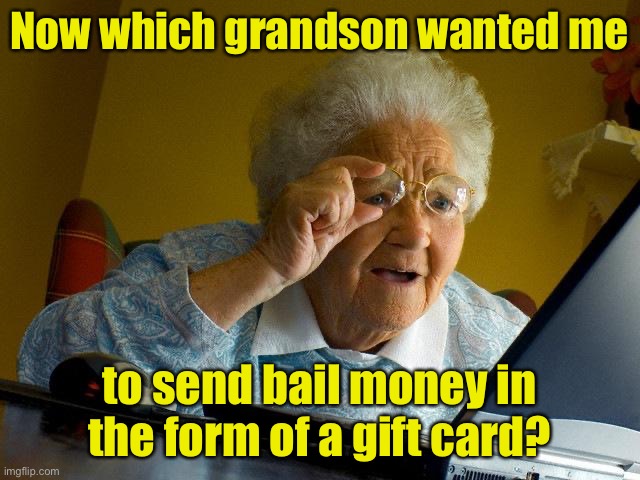 Grandma checks ancestry.com after a scam phone call | Now which grandson wanted me; to send bail money in the form of a gift card? | image tagged in memes,grandma finds the internet | made w/ Imgflip meme maker
